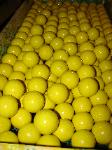 Wooden Balls
